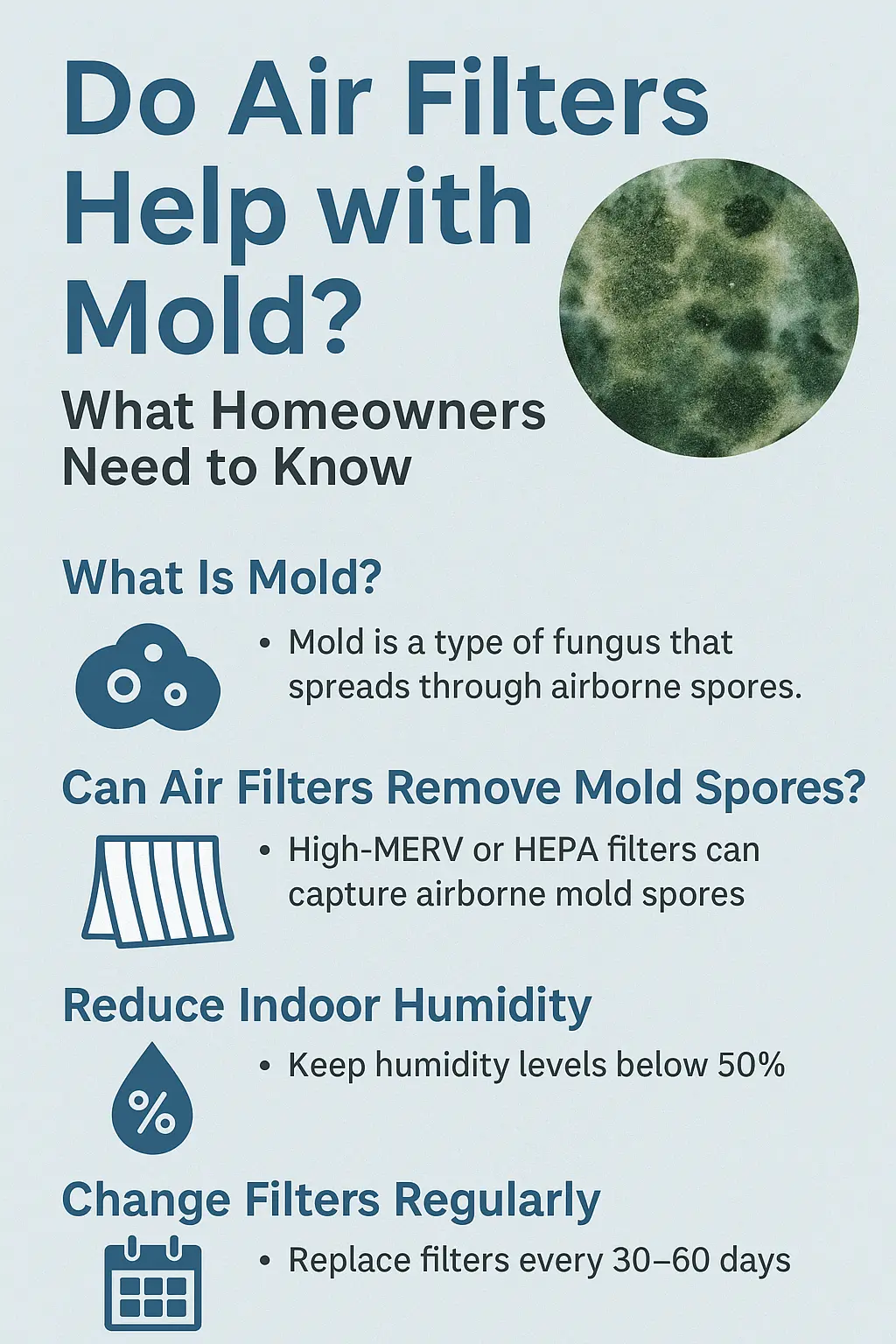 Do Air Filters Help with Mold?